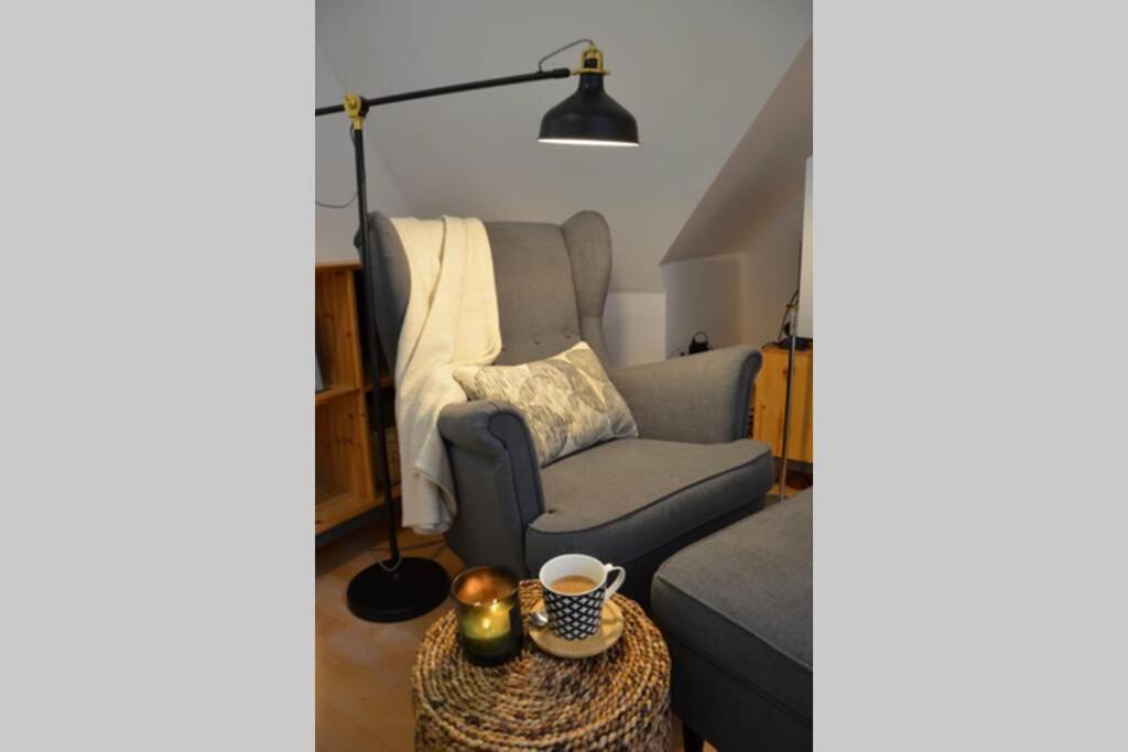 Ines Apartament Two Levels 105M2 In The Old Town Wi-Fi, Олщин Екстериор снимка