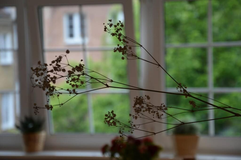 Ines Apartament Two Levels 105M2 In The Old Town Wi-Fi, Олщин Екстериор снимка