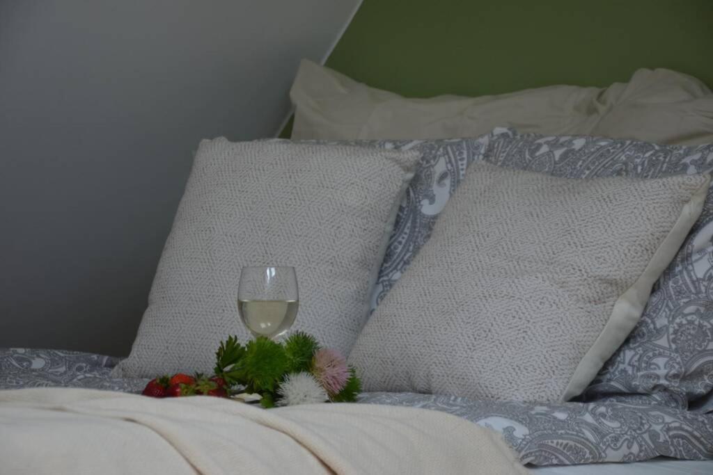 Ines Apartament Two Levels 105M2 In The Old Town Wi-Fi, Олщин Екстериор снимка