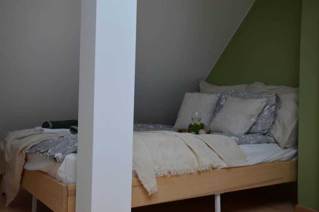 Ines Apartament Two Levels 105M2 In The Old Town Wi-Fi, Олщин Екстериор снимка